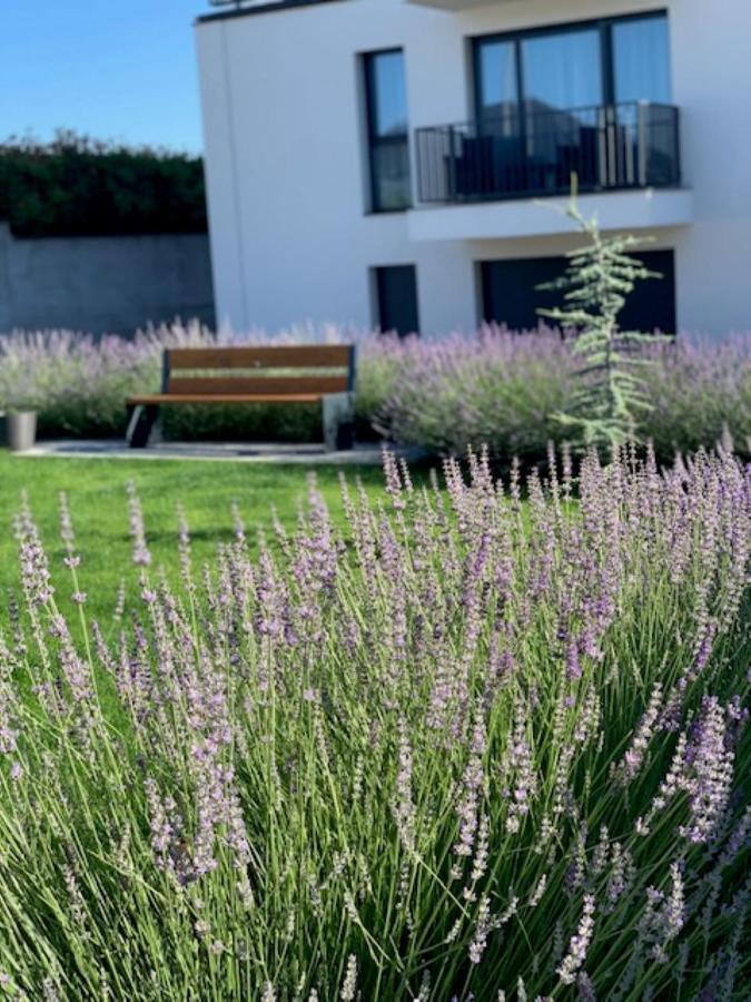 Paskom Apartmanhaz Nyergesujfalu Екстер'єр фото